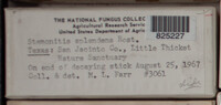 Image Associated With the Occurence